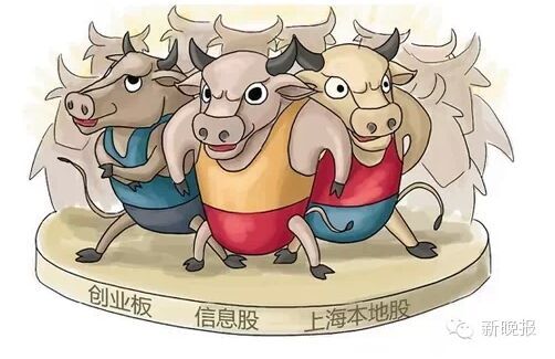七旬老妪40万股票3年变400万