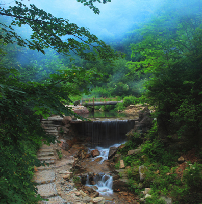 神奇鹤岗 大美龙江