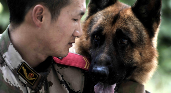 严介和冰城推介《新论语》[1]