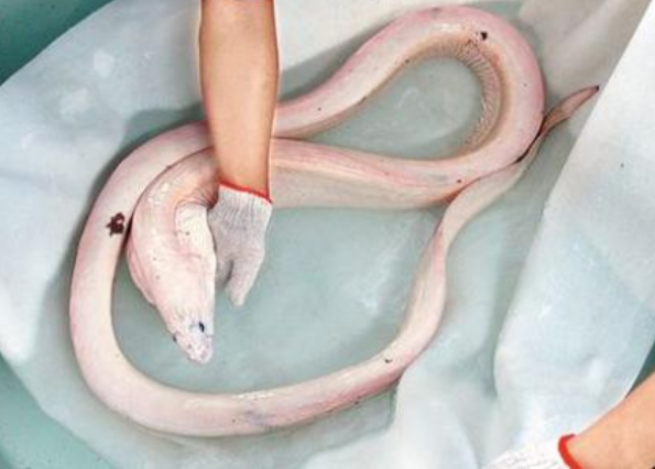 拓宽农村学生升学渠道 哈工大自主选拔英才计