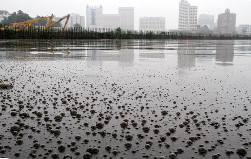 暴雨导致武汉东湖水质急剧下降