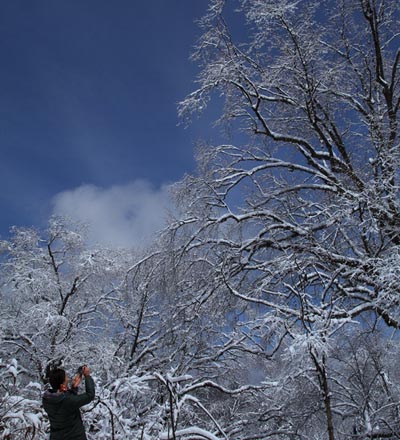 强冷空气致神农架骤降“桃花雪”