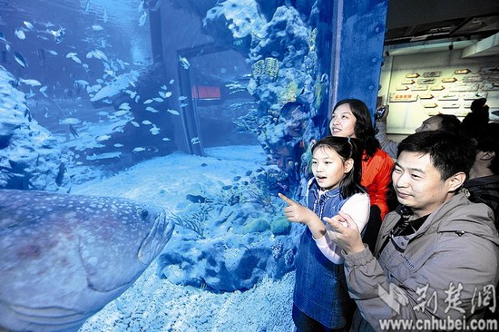 三口之家玩转极地海洋世界 大武汉越来越好玩