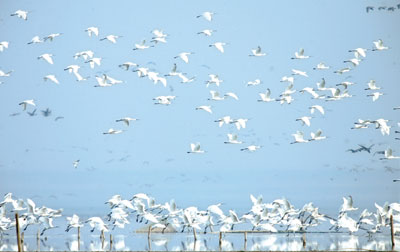 解读《湖南省水利改革试点方案》 突出5项内容