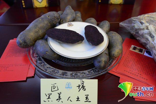 巴塘旅游文化农特产品推介会在京举行