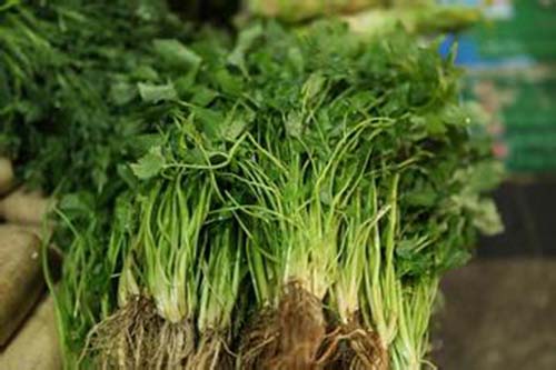  开春野菜的吃法