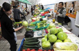 调查:市价比田间贵10倍 卷心菜是这样贵起来的