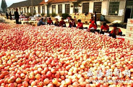 苹果高价泡沫破裂 囤货商大量甩货(组图)