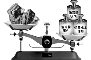 分析称瘦肉精事件推涨猪肉价格 火腿香肠或涨价