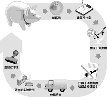 一块猪肉的履历——还原猪肉生产全过程