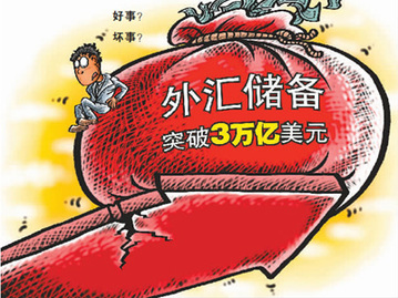 外汇储备究竟是谁的钱?能不能分?