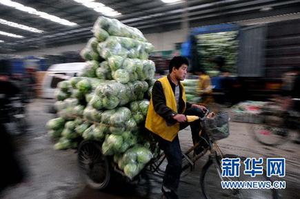 菜价犹如“过山车” 价格稳定机制何去何从?