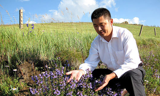 鞍山绿化老总_鞍山师范学院(2)