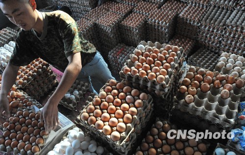 “火箭蛋”领涨食品价格