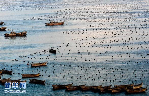 我国沿海11个海洋功能区划全部获批