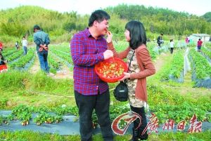 情人节遇上春节假期 鲜花没有往年好卖
