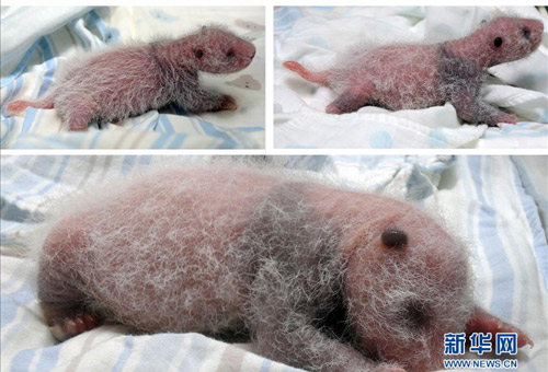 1号店7月流量单日破千万 晋身中国电商三甲俱