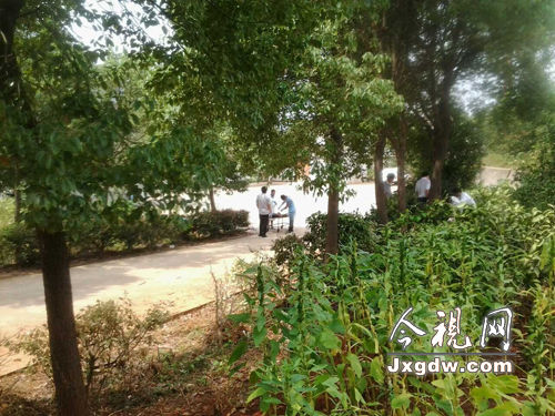 免税政策促进山东小微企业发展作用显现