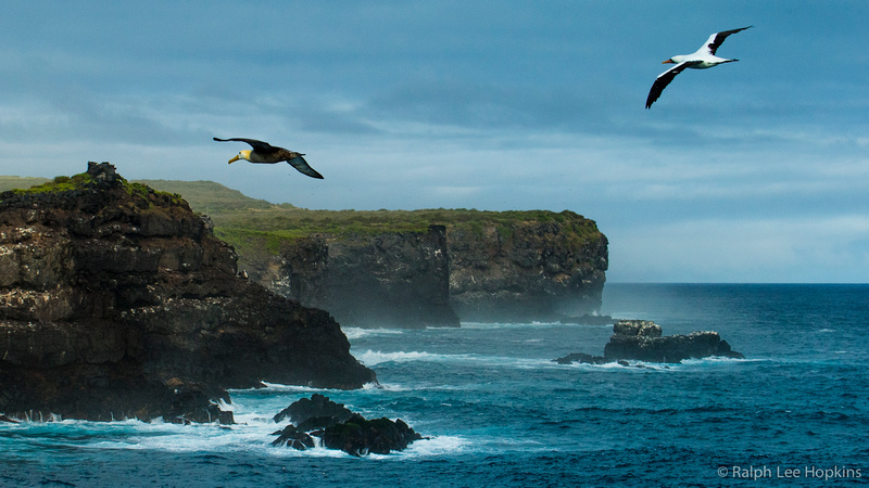 专家:以房养老本质是金融产品 老年人可自愿