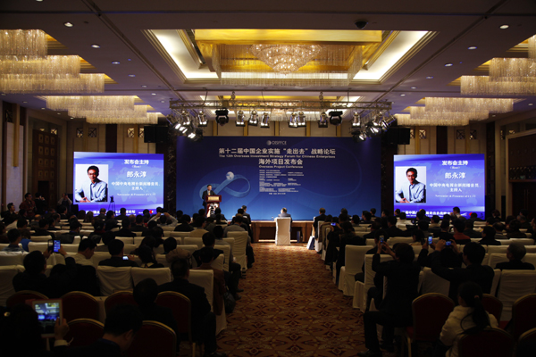 第十二届中国企业实施走出去战略论坛海外项