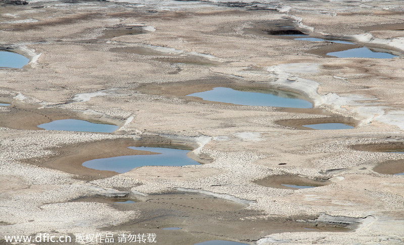 虚拟信用卡和二维码支付业务暂停 市场反应不