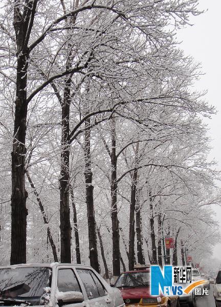 吉林省出现大范围雨雪天气