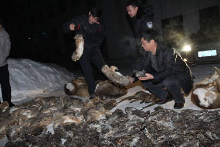 吉林红石林业局查获非法盗猎野生动物案