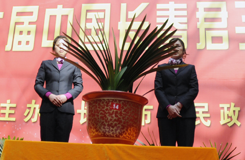 长春:标价近亿元