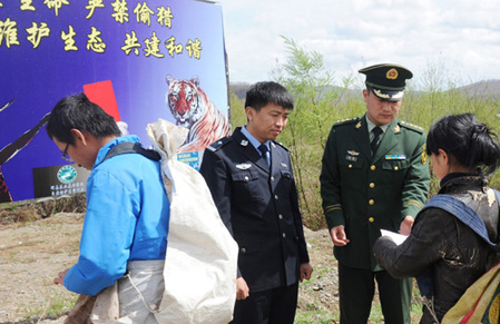 吉林珲春:入山采集须防虎患