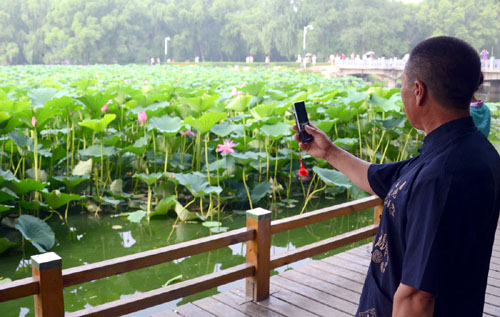 长春：南湖荷花竞相开放