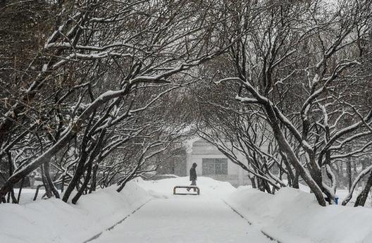吉林省大部分地区遭遇大到暴雪 九成以上中小学已停课