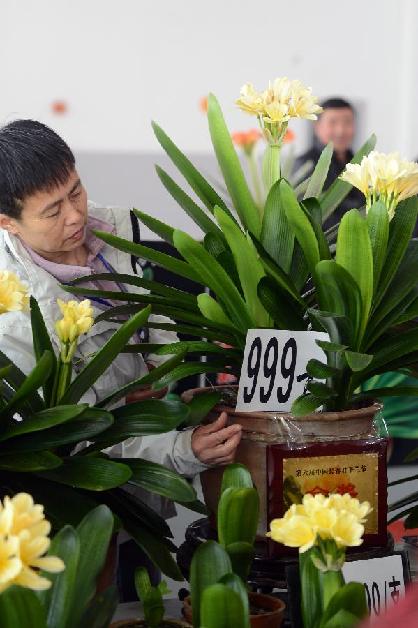 第九届中国长春君子兰节开幕