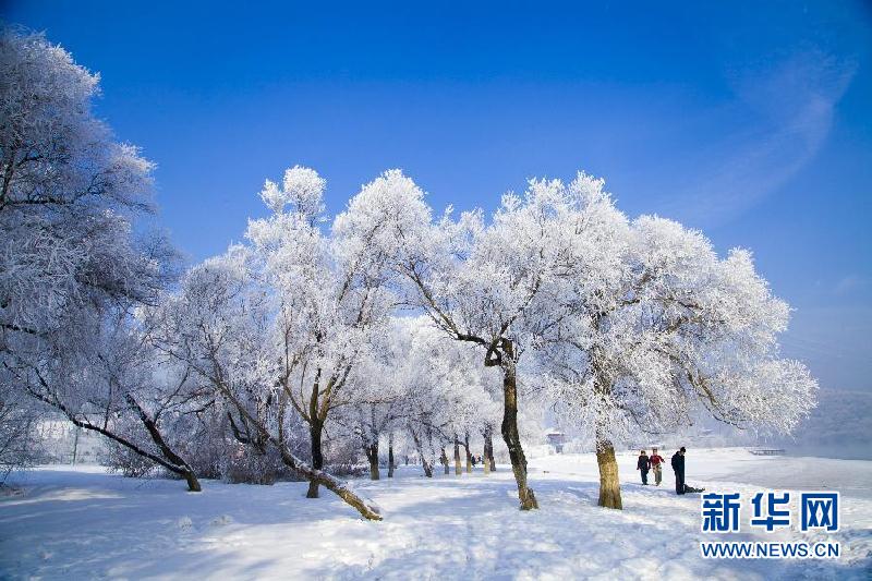 吉林：雾凇引客来