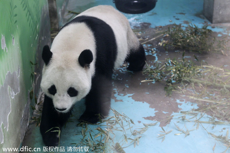 吉林省召开领导干部大会和省委常委扩大会