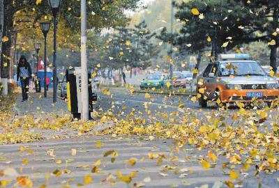 昨日大风频惹祸今天风停气温低降温10℃~14℃