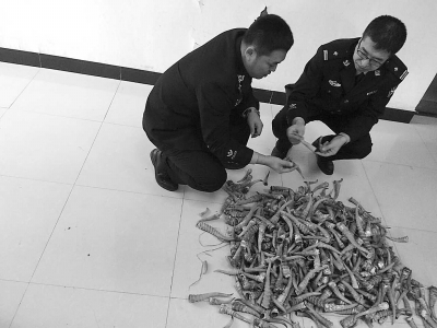 吉林森警循线破网上销售羚羊角大案
