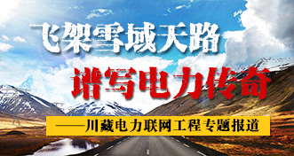 吉林省政府法制办肯定电力监管协管制