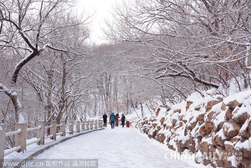 吉林迎来2015年首场大雪 气象台发布道路冰雪预警