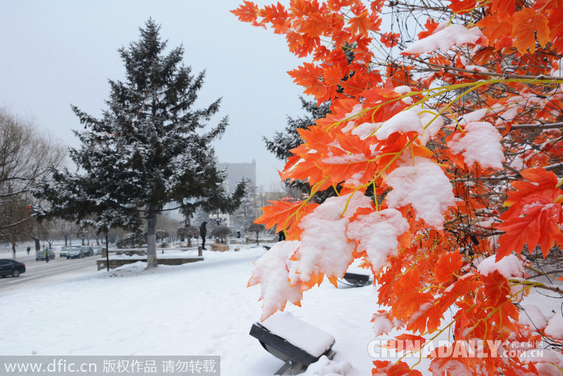 吉林迎来2015年首场大雪 气象台发布道路冰雪预警