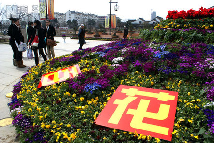 苏州古胥门举办首届“百花节”
