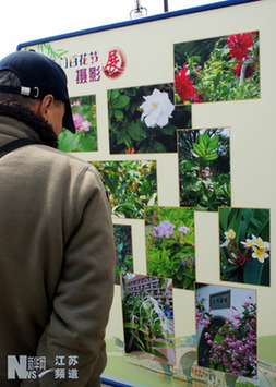 苏州古胥门举办首届“百花节”