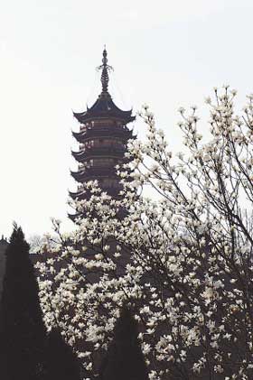 天气晴好景区游人尽情欣赏湖光山色