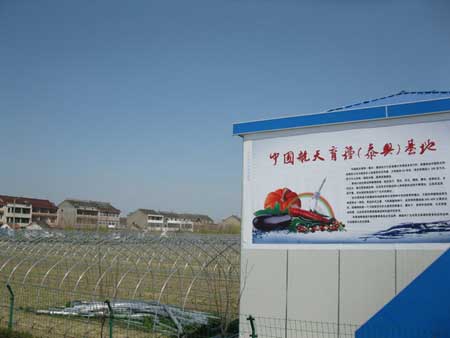 中国航天育种基地落户江苏泰兴