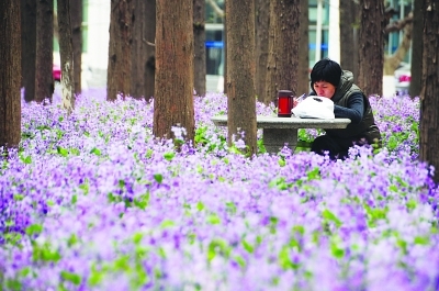 清明节“校园变公园” 南理工发起“护兰”行动