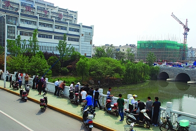 秦淮河河面上漂满死鱼 因集中排污所致