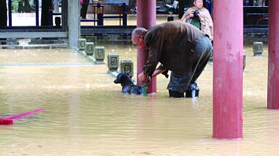 居民家中游来5斤重大鱼 南京江北这场大雨太意外了