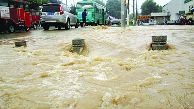 居民家中游来5斤重大鱼 南京江北这场大雨太意外了