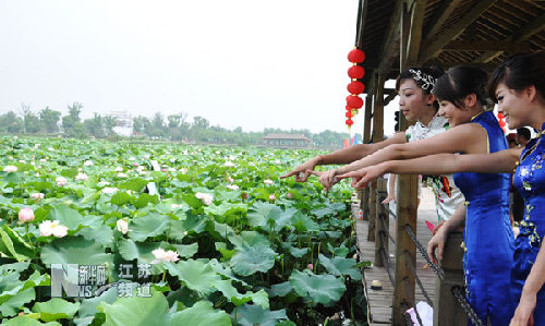 苏州举办“荷花生日”民俗游园活动