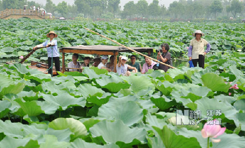 苏州举办“荷花生日”民俗游园活动