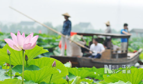 苏州举办“荷花生日”民俗游园活动